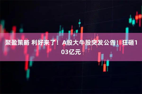 聚盈策略 利好来了！A股大牛股突发公告！狂砸103亿元