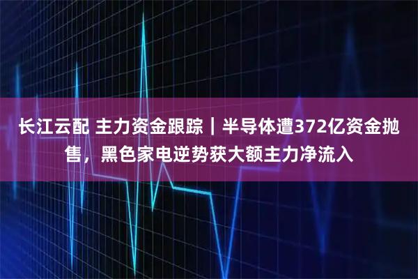 长江云配 主力资金跟踪｜半导体遭372亿资金抛售，黑色家电逆势获大额主力净流入