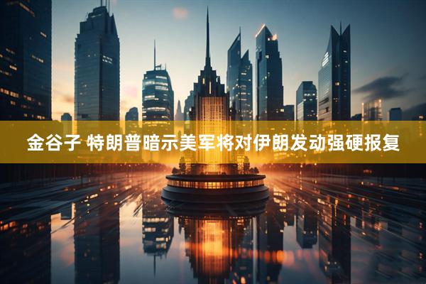 金谷子 特朗普暗示美军将对伊朗发动强硬报复